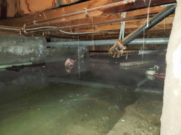 Best Fire Damage Restoration  in Newark, OH