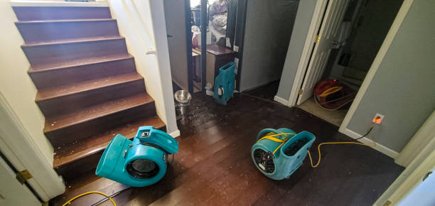 Best Mold removal after water damage  in Newark, OH