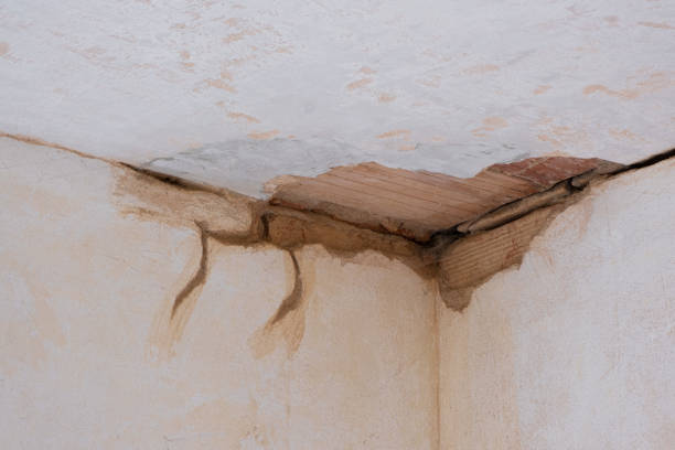 Best Emergency water damage restoration  in Newark, OH