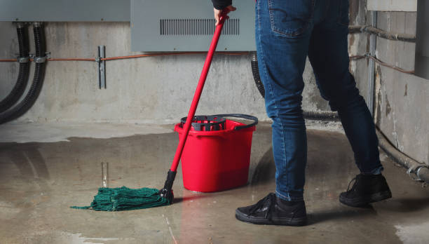 Best Water damage repair service  in Newark, OH