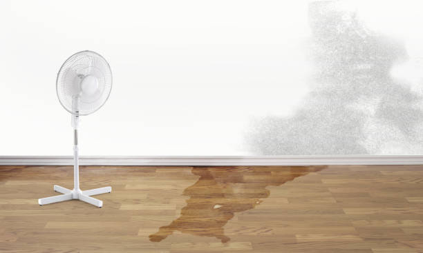 Best Commercial water damage restoration  in Newark, OH