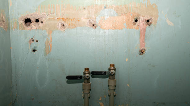 Water damage restoration mold remediation in Newark, OH